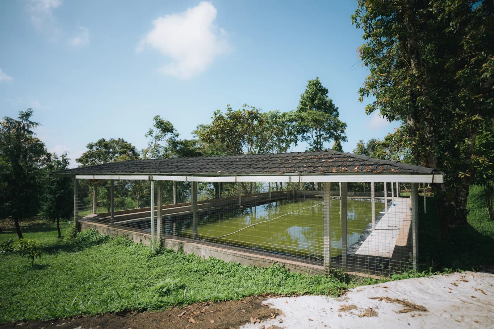 Fishing Pond