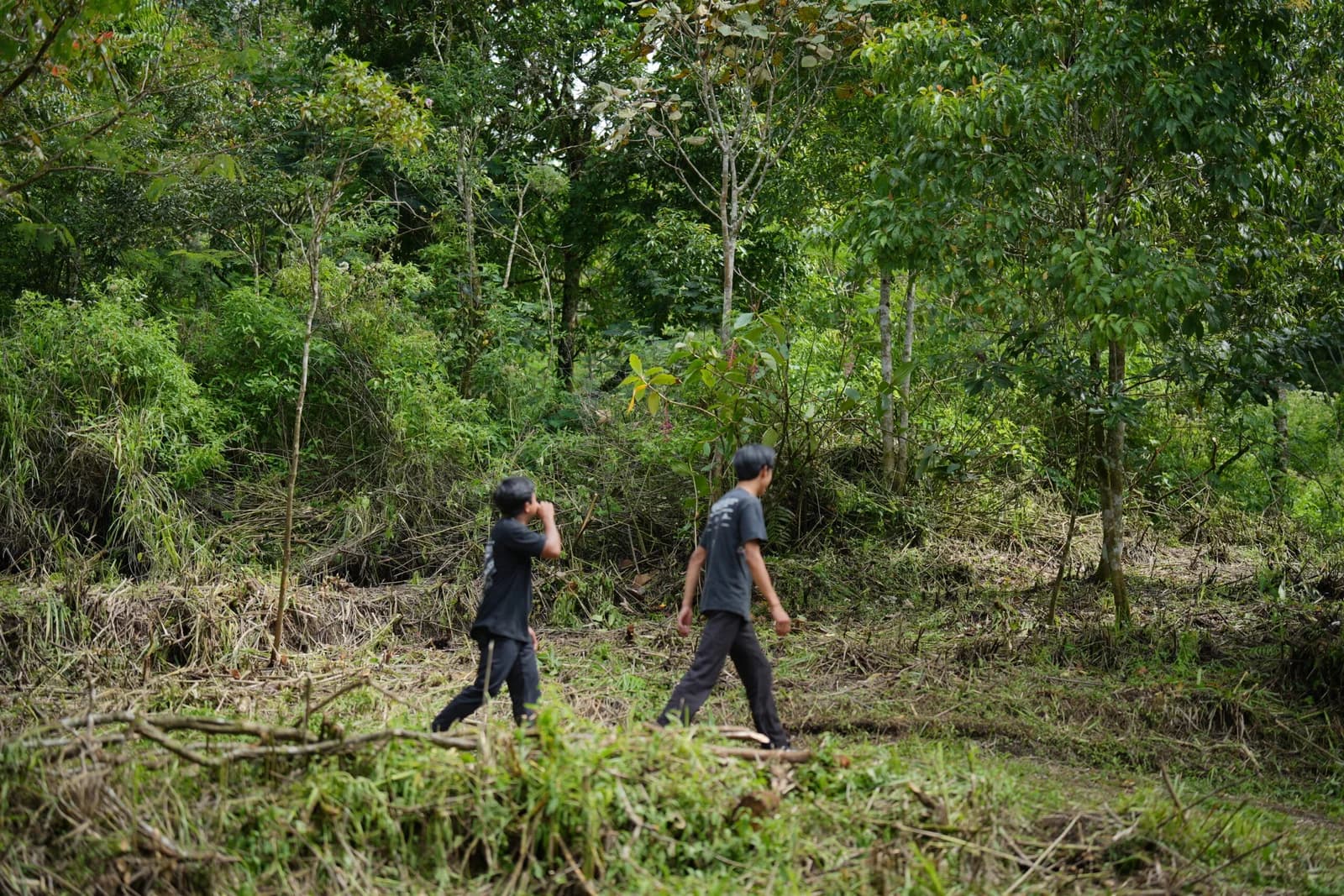 Tracking to Mount Pohen & Mount Abang