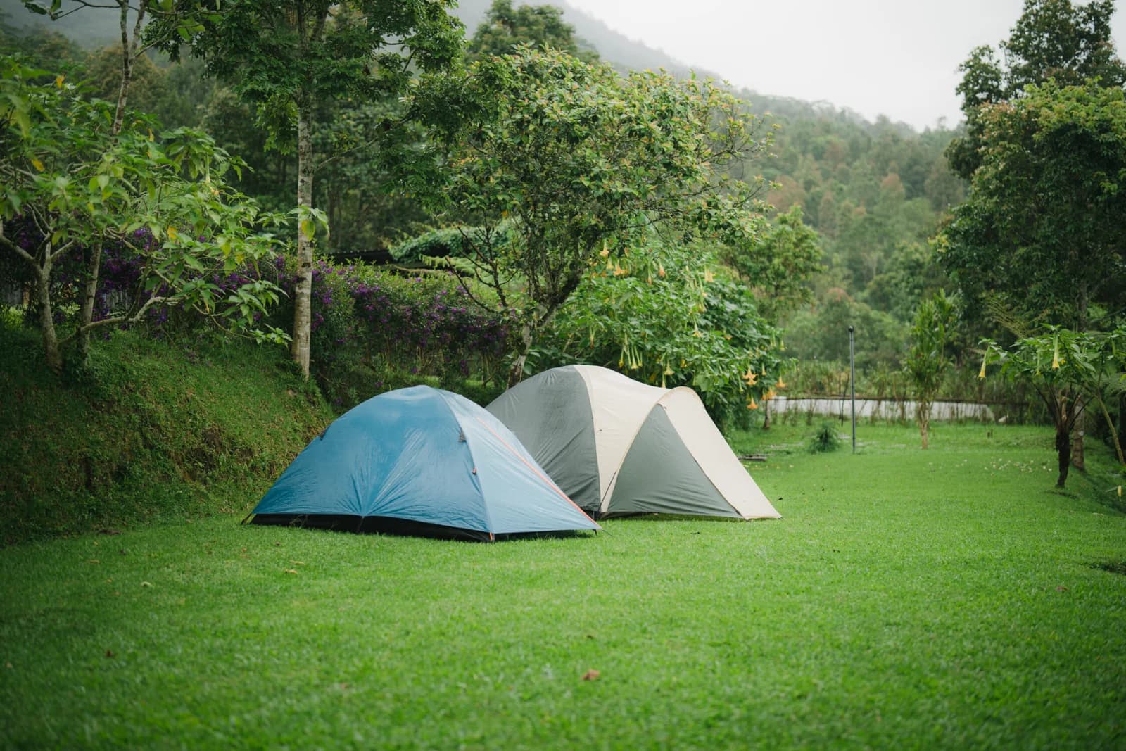Camping